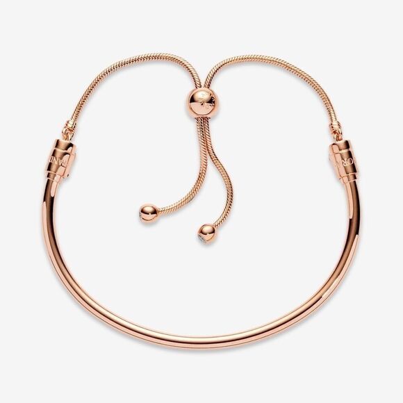 Pandora Flower Stem Slider Bracelet - Picture 1 of 6